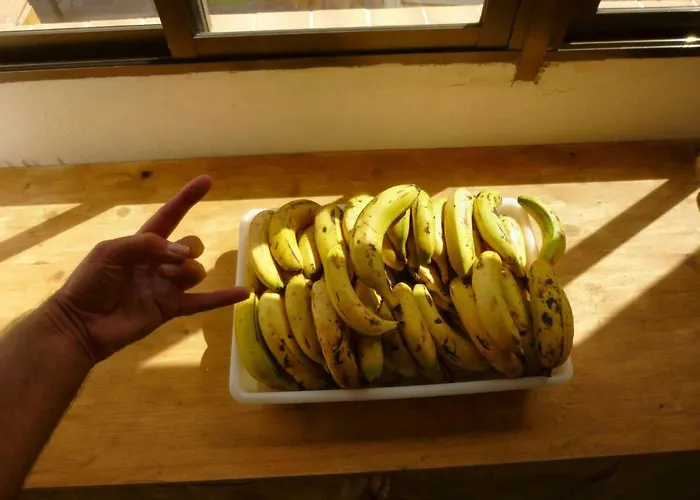 Hostel Casa Grande Surf El Médano