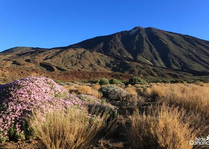 Casa Grande Surf Ostello El Médano